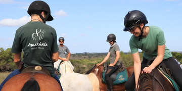 Amakhala Game Reserve Horse Trails In Action