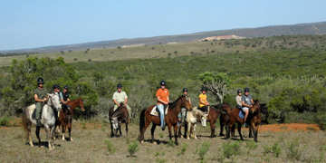 Amakhala Game Reserve Horse Trails Guests In Action